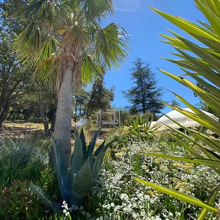Bed & Breakfast Alba En Provence *